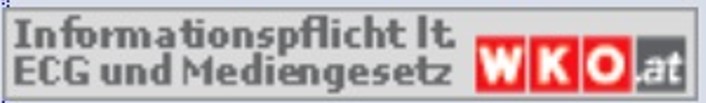 Informationspflicht lt. ECG und Mediengesetz (WKO)